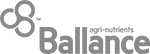 Ballance_resized